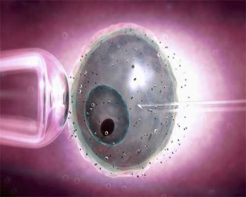 输卵管阻塞供卵试管供卵