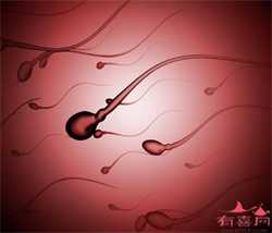 在武汉用试管婴儿技术助孕可以选男孩吗？